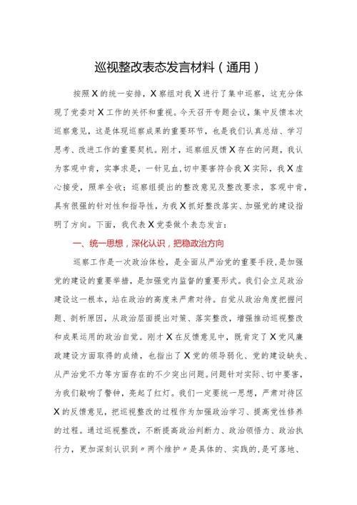 巡视整改表态发言材料通用.docx