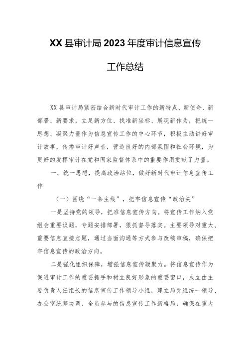 XX县审计局2023审计信息宣传工作总结.docx