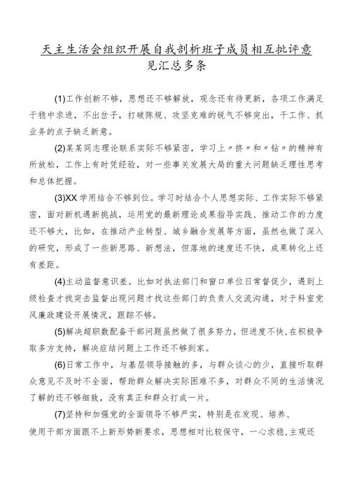 民主生活会组织开展自我剖析班子成员相互批评意见汇总多条.docx