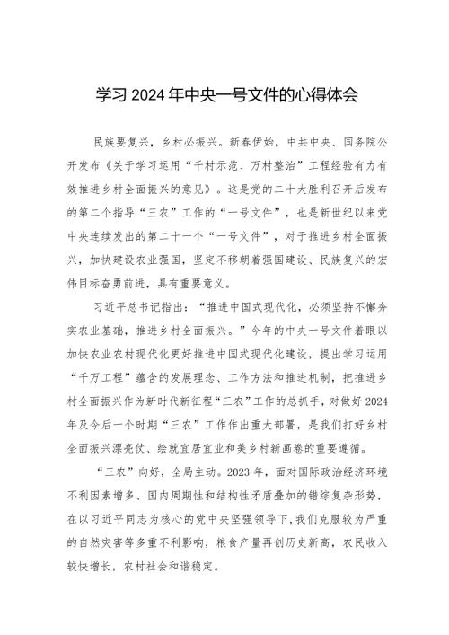 学习贯彻2024年中央一号文件心得体会十四篇.docx