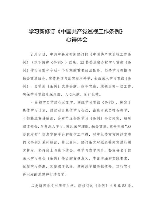 学习2024版新修订中国共产党巡视工作条例心得体会交流发言11篇.docx