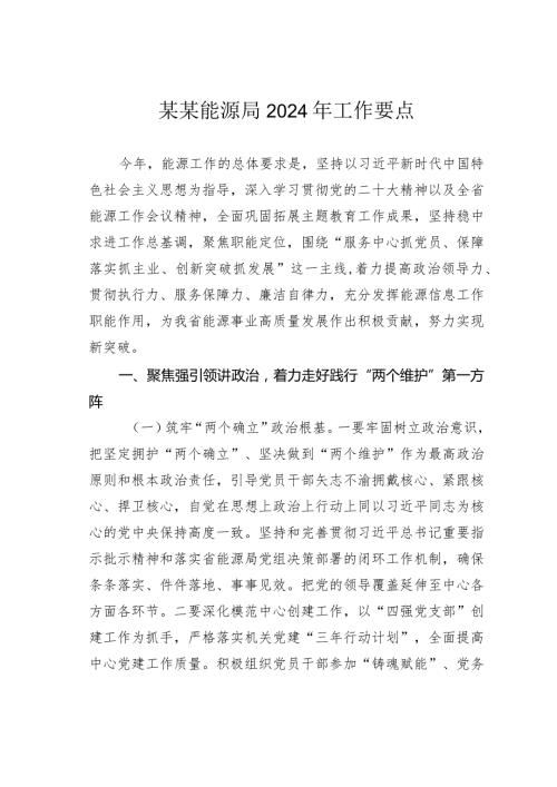某某能源局2024年工作要点.docx