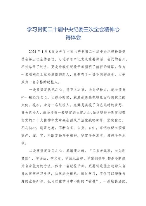 纪检干部学习二十中央纪委三次全会精神心得体会(25篇).docx