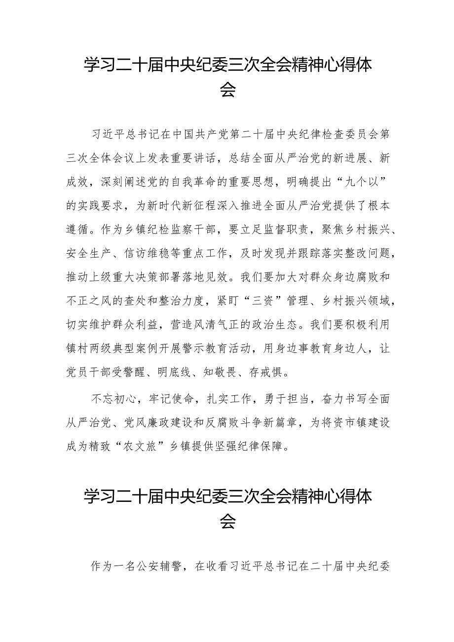 纪检干部学习二十中央纪委三次全会精神心得体会(25篇).docx_第3页