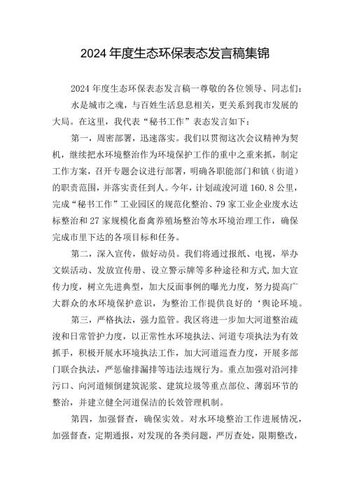 2024生态环保表态发言稿集锦.docx