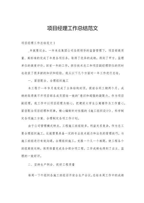项目经理工作总结范文.docx