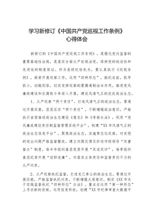 2024年纪检干部学习新修订《中国共产党巡视工作条例》心得体会五篇.docx