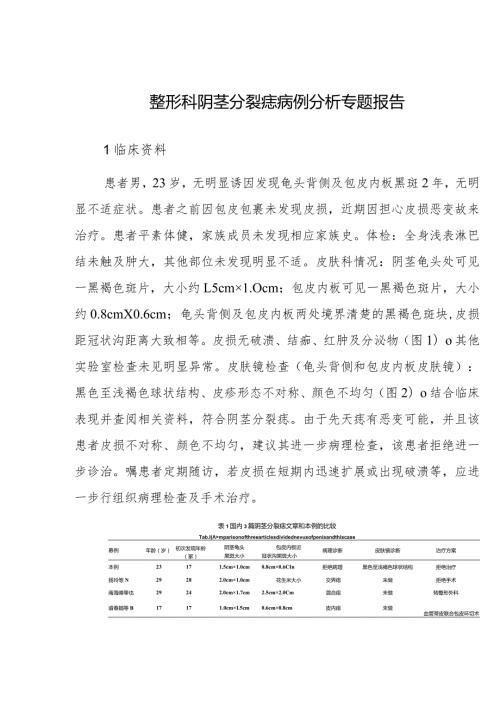 整形科阴茎分裂痣病例分析专题报告.docx