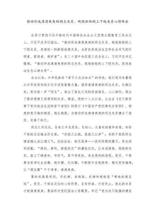 （4篇)2024年推动形成清清爽爽的同志关系、规规矩矩的上下级关系心得体会.docx
