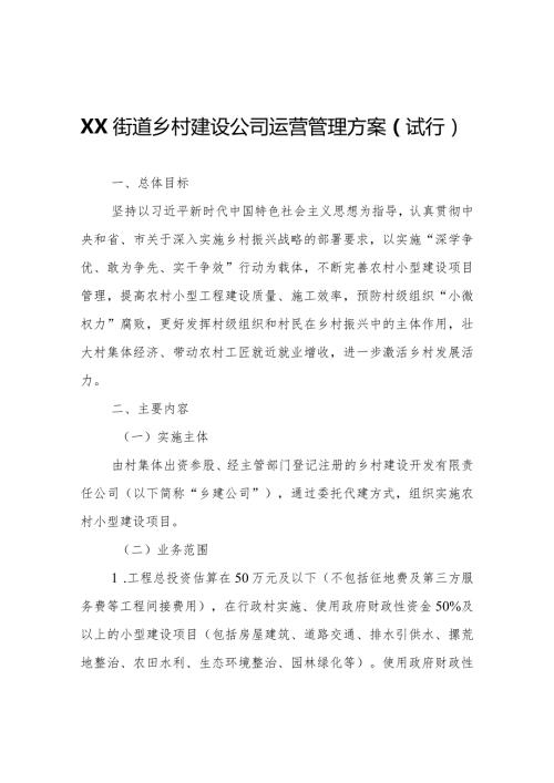 XX街道乡村建设公司运营管理方案（试行）.docx