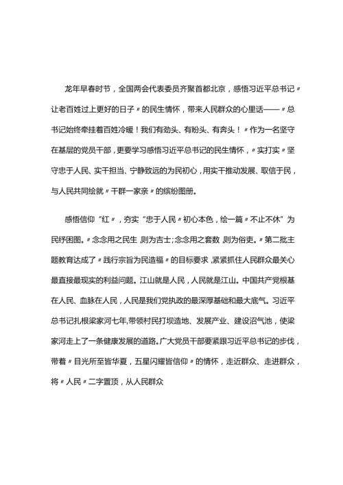 党支部贯彻两会精神发言材料心得体会(精选）.docx