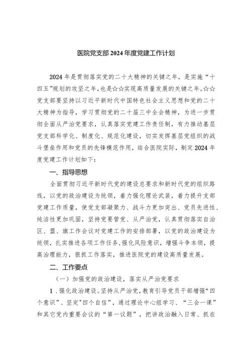 医院党支部2024党建工作计划10篇（完整版）.docx