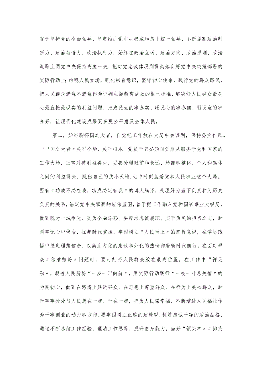 指导组在参加党支部主题教育学习会的发言材料.docx_第2页