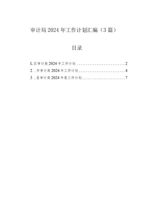 审计局2024年工作计划汇编（3篇）.docx