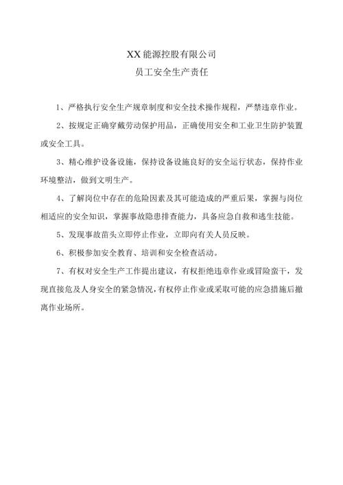 XX能源控股有限公司员工安全生产责任（2023年）.docx