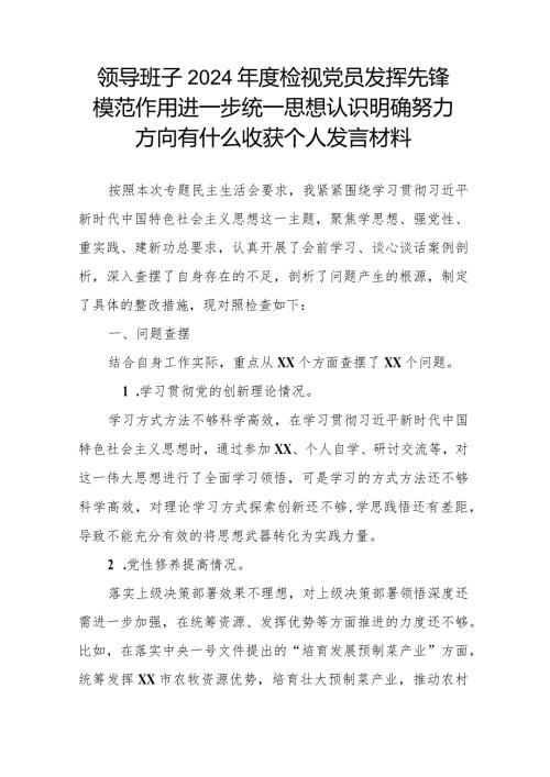 领导班子2024检视党员发挥先锋模范作用进一步统一思想认识明确努力方向有什么收获个人发言材料.docx