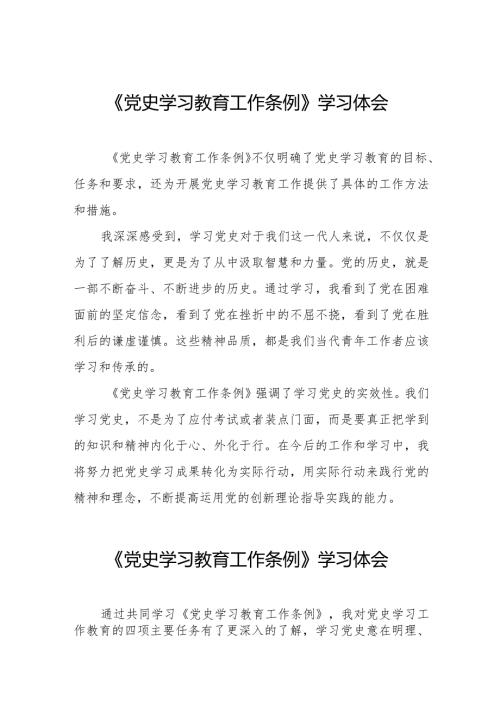 党史学习教育工作条例学习体会发言稿十篇.docx