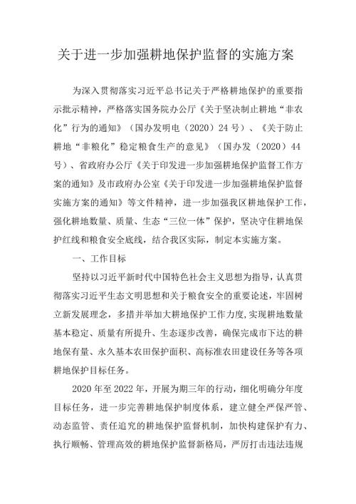 关于进一步加强耕地保护监督的实施方案.docx