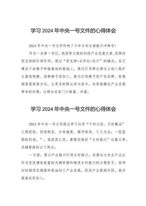 学习贯彻2024年中央一号文件的心得体会十四篇.docx