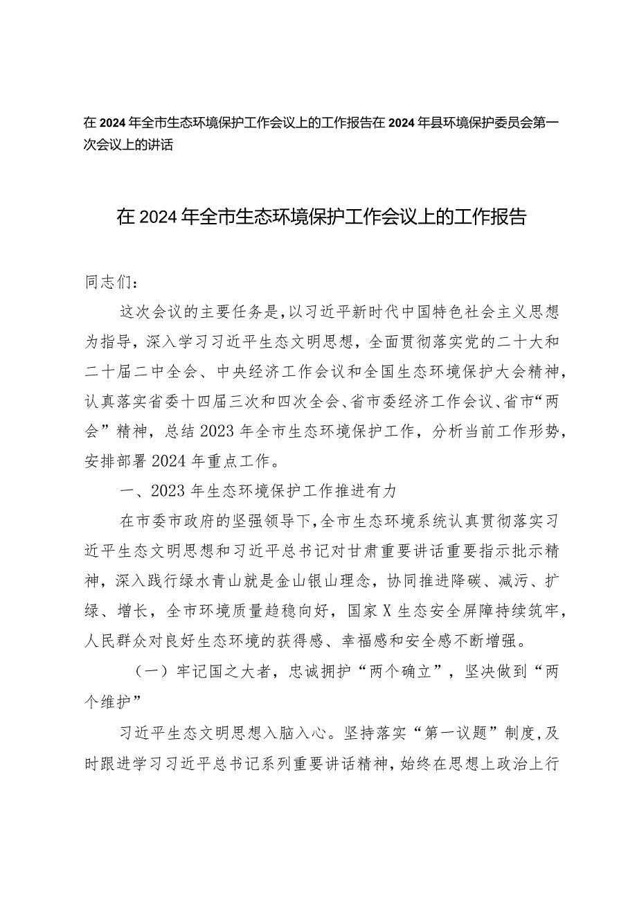 （2篇）在2024年全市生态环境保护工作会议上的工作报告环境保护委员会第一次会议上的讲话.docx_第1页
