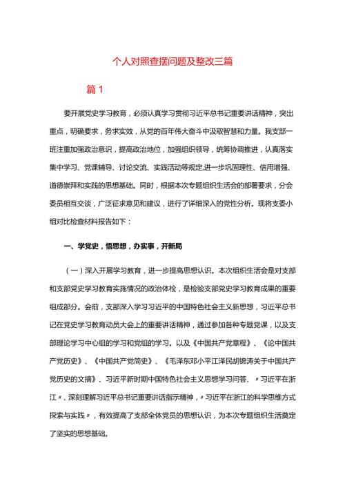 个人对照查摆问题及整改三篇.docx