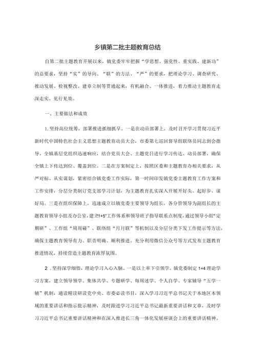 003乡镇第二批主题教育总结.docx