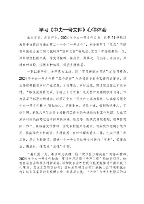 2024年学习《中央一号文件》心得体会.docx