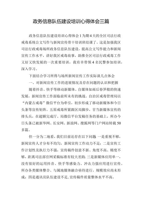 政务信息队伍建设培训心得体会三篇.docx