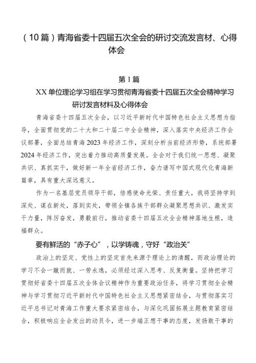 （10篇）青海省委十四五次全会的研讨交流发言材、心得体会.docx