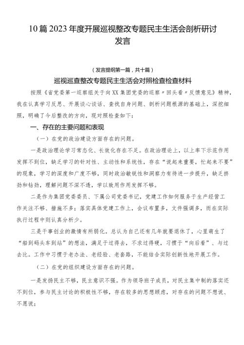 10篇2023开展巡视整改专题民主生活会剖析研讨发言.docx