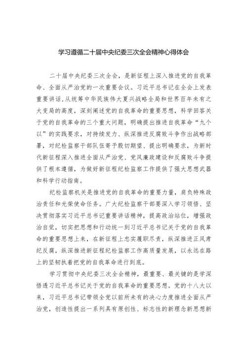 学习遵循二十中央纪委三次全会精神心得体会（共8篇）.docx