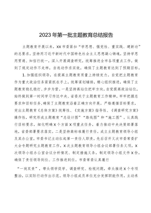 2023年第一批主题教育总结报告5篇.docx