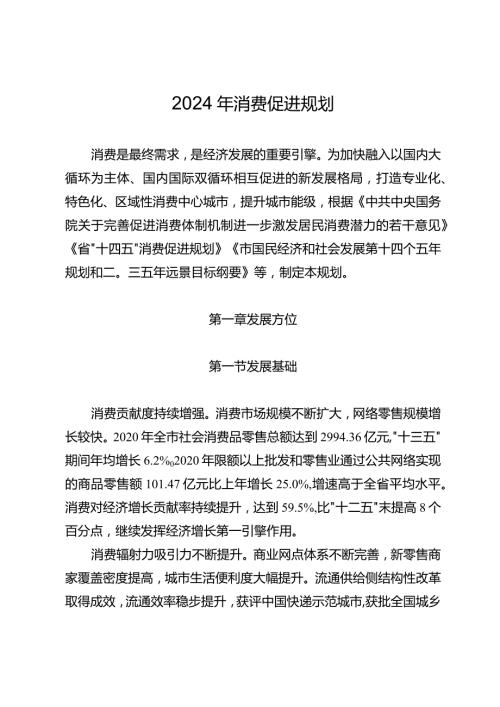 2024年消费促进规划.docx