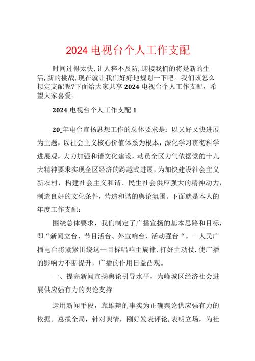 2024电视台个人工作计划.docx