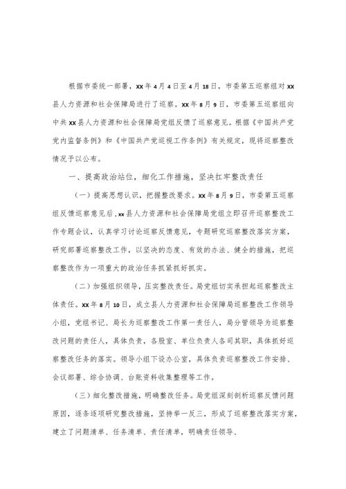 县人力资源和社会保障局党组关于巡察整改情况的报告.docx