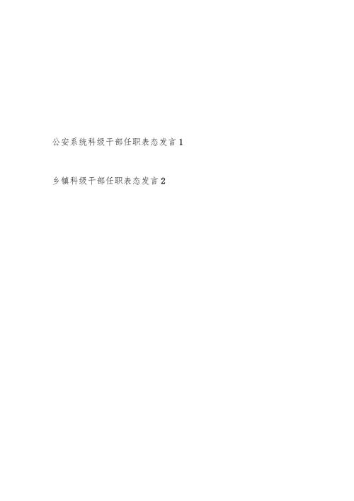 公安系统乡镇科级干部任职表态发言共2篇.docx