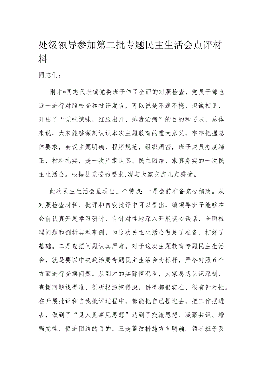 处级领导参加第二批专题民主生活会点评材料(1).docx_第1页