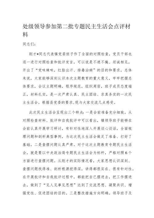 处级领导参加第二批专题民主生活会点评材料(1).docx