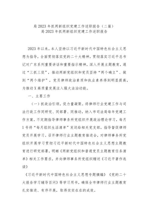 局2023年抓两新组织党建工作述职报告(二篇).docx