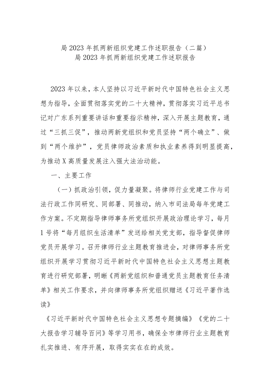 局2023年抓两新组织党建工作述职报告(二篇).docx_第1页