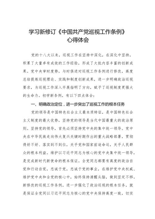 学习贯彻2024新修订中国共产党巡视工作条例心得体会研讨发言材料五篇.docx