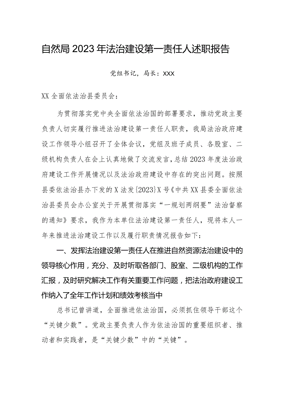 自然局2023年法治建设第一责任人述职报告.docx_第1页