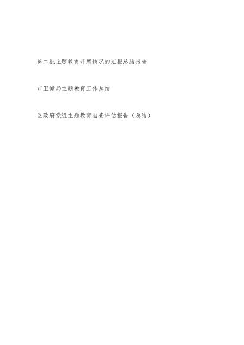 2024年区政府党组局党组第二批主题教育开展情况的汇报总结报告3篇.docx