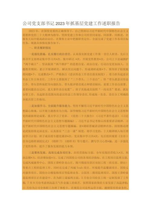 公司党支部书记2023年抓基层党建工作述职报告.docx