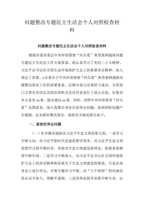 问题整改专题民主生活会个人对照检查材料.docx