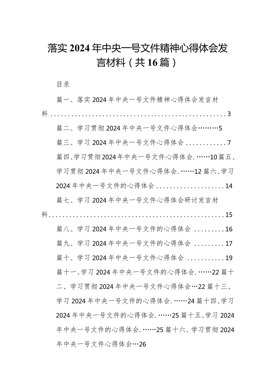 落实2024年中央一号文件精神心得体会发言材料16篇（详细版）.docx_第1页