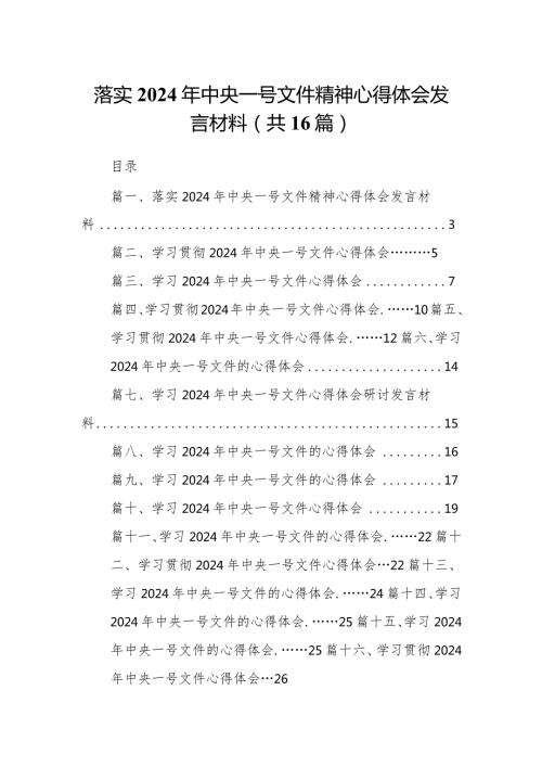 落实2024年中央一号文件精神心得体会发言材料16篇（详细版）.docx