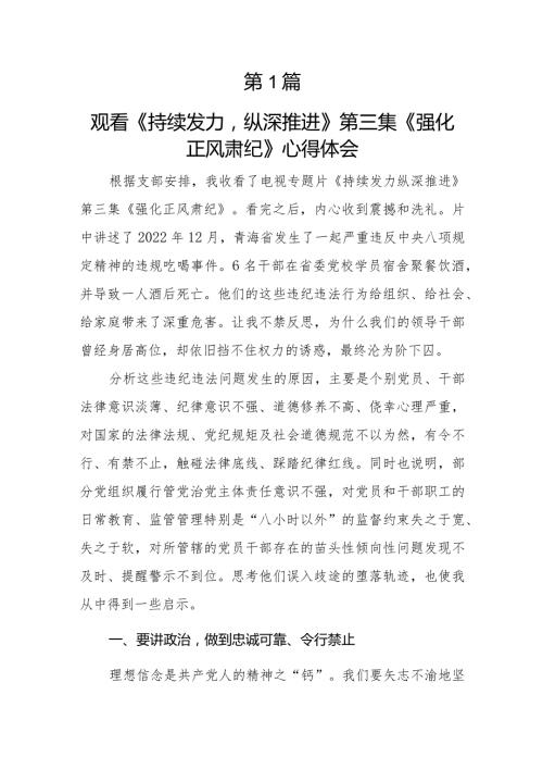 2024党员干部《持续发力纵深推进》第三集《强化正风肃纪》观后感学习心得体会研讨发言5篇.docx
