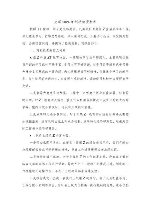 支部2024年剖析检查材料.docx