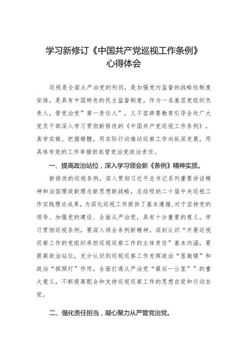 学习2024版新修订中国共产党巡视工作条例心得体会优秀五篇.docx